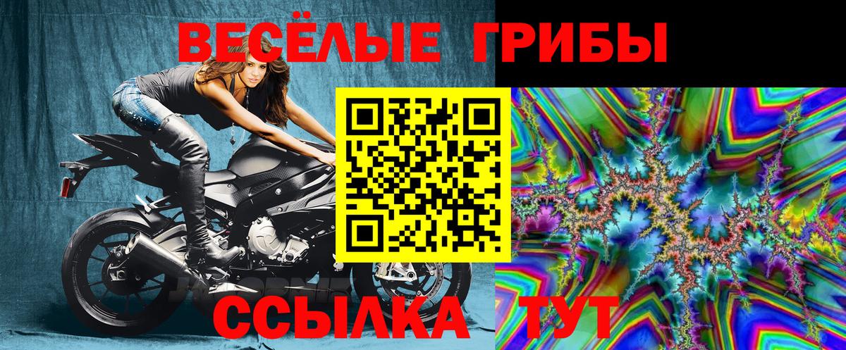 Галлюциногенные грибы Cubensis  Вход с VPN  Уварово 