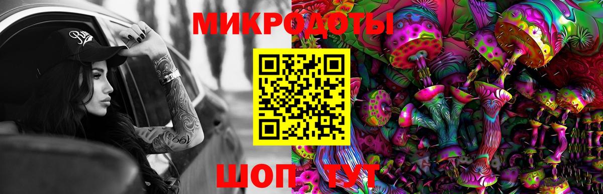 Галлюциногенные грибы Psilocybe Уварово
